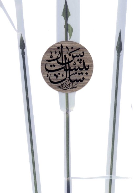 پس از بیست سال