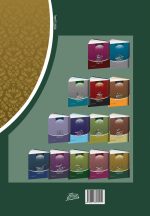 سلسله درس‌های مهدویت (10): انتظار فرج