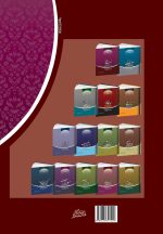 سلسله درس‌های مهدویت (2): منزلت امام