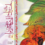 کتاب از رحلت رسول خدا تا شهادت حضرت زهرا اثر عدنان درخشان نشر منیر