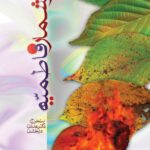 روزشمار فاطمیه