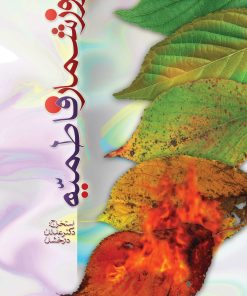 روزشمار فاطمیه