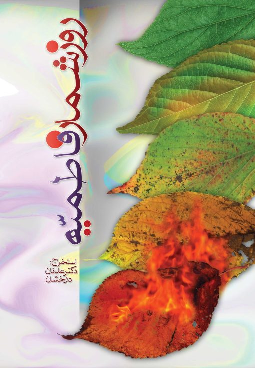 روزشمار فاطمیه