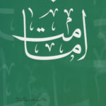 کتاب نقد اندیشه سلفی‌گری ایرانی: امامت انتشارات بنیاد بین المللی امامت